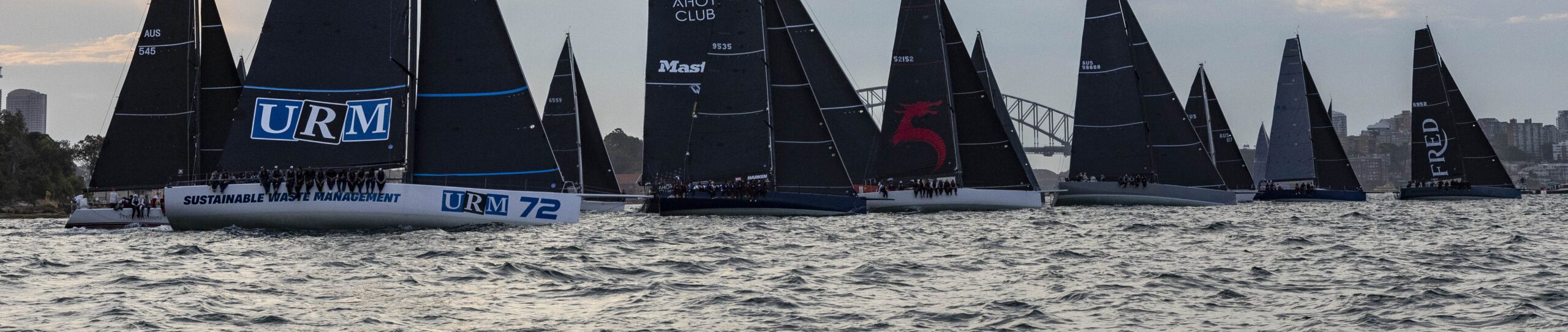 Cabbbage Tree Island Race 2024